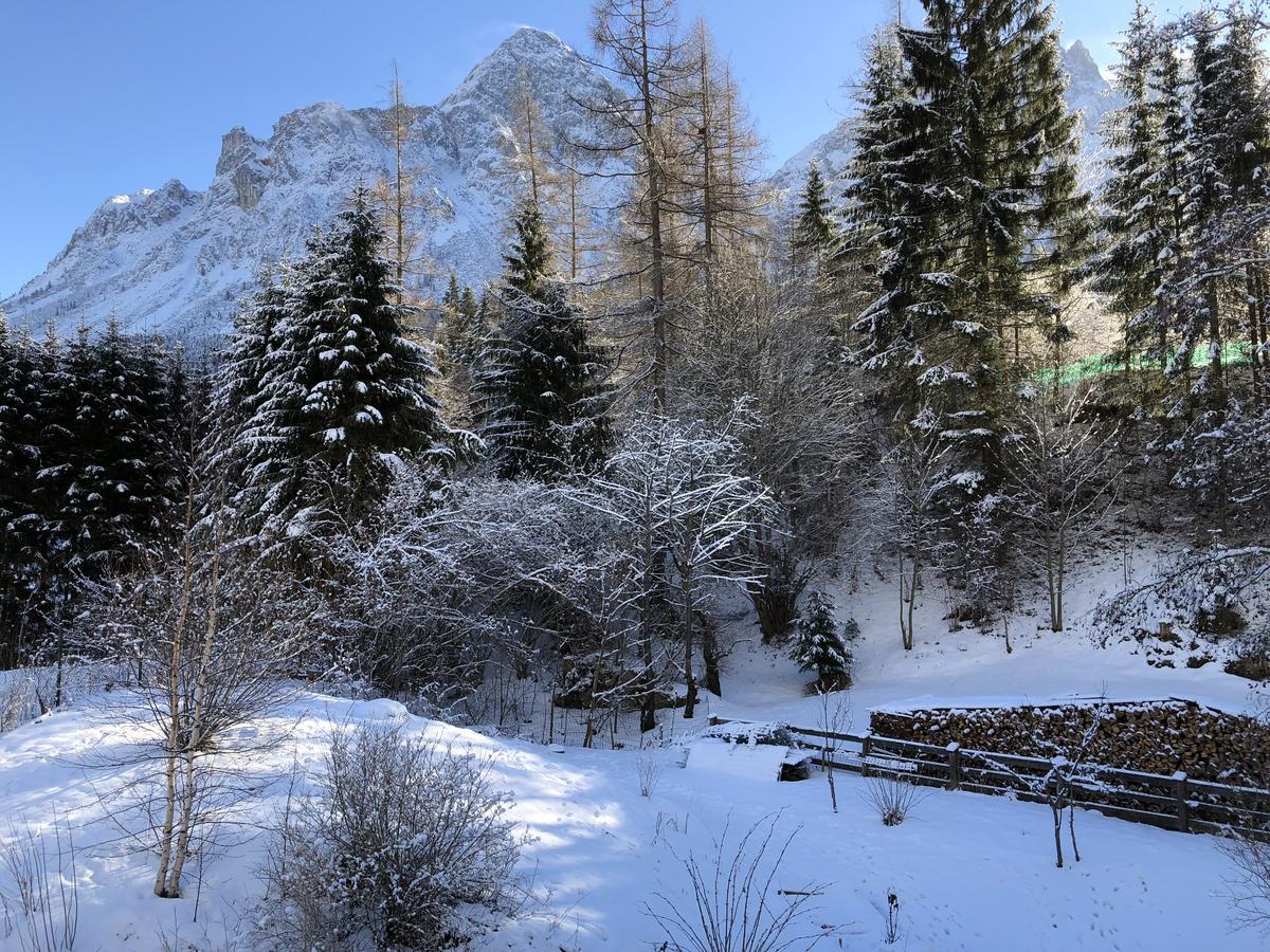 Apartmán Haus Sonnenspitze - Fam. Nessler Biberwier Exteriér fotografie
